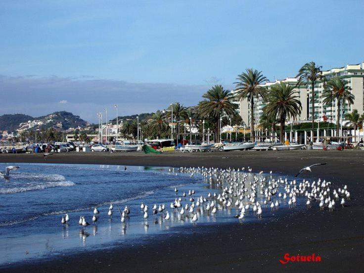 Apartamento El Dorado Cerca Del Mar 말라가 외부 사진